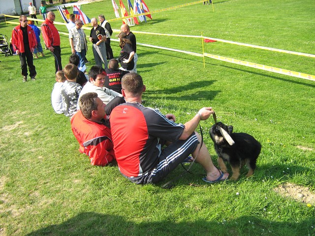 www.atibox.net * www.euroboxer.eu * www.boxergenealogia.eu
